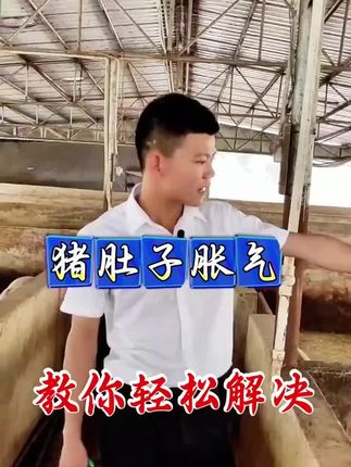 猪肚子胀气,教你轻松解决#养猪人 #支持三农助力三农 #养猪人加油干 #猪病技术 #猪病讲解