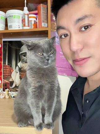 #毛孩子也是孩子 糖糖的气质你能模仿的来吗?#招财猫