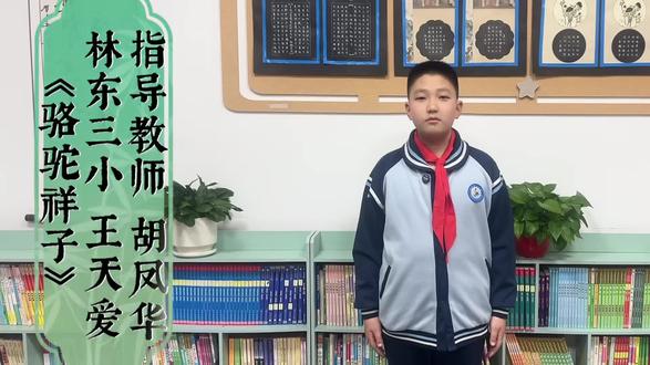 读书分享《骆驼祥子》