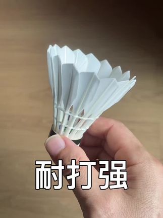鹚鸪鸭中方毛#羽毛球
