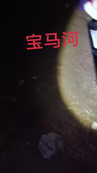 他哥哥的第二尾大鲤鱼