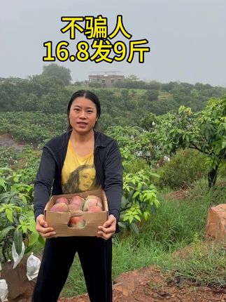 #凯特芒