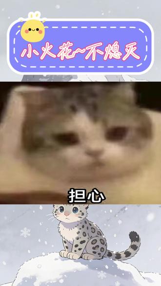 快来和你的小伙伴一起使用多闪吧! #多闪