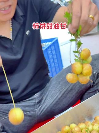 柿饼甜油甘果酥脆无渣口后回甘#油甘果 #口感特别好 #快来一起尝个鲜 #应季水果 #强烈推荐