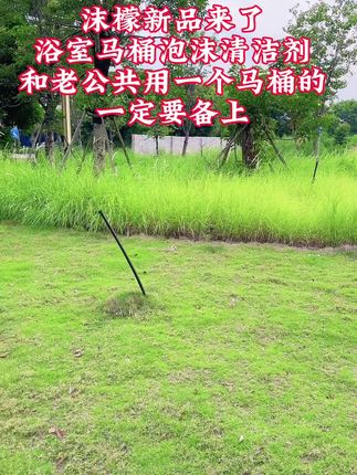 谁懂啊,洗个澡的功夫马桶就干净的快乐,洗澡前就对着马桶里里外外咔咔一顿喷,尤其是家里和老公共用一个马桶的,就对着那抠抠缝缝容易藏污纳垢的地方,哪里脏你就喷哪里。喷出来是那种很圆腻的泡沫,像平时很难清洁的犄角旮旯他都能照顾到。喷上静等一会,马桶金光瓦亮的,关键洗完马桶还散发着很好闻的清香,不喜欢刷马桶的你就赶紧囤上两瓶,真能省不少事。#马桶清洁剂 #沫濛