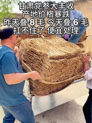 #上热门话题🔥🔥🔥 #党参 #源头好货 #超便宜超划算 #家乡特产@DOU+小助手