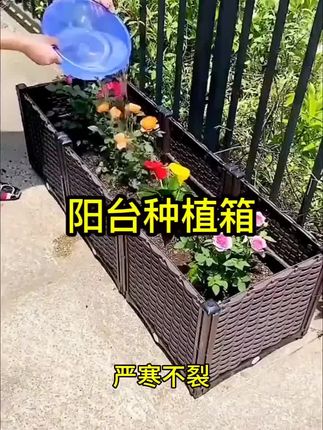 楼顶清仓!种菜专用箱神器来袭,特大塑料花盆适合家庭阳台户外种植。无论是楼顶还是阳台,都能轻松打造小菜园,享受种植乐趣,快来选购,让你的蔬菜种植更便捷! #楼顶种菜神器 #阳台种植清仓 #户外蔬菜花盆 #塑料种植热品