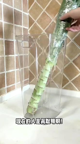 大葱收纳神器 大葱收纳神器厨房葱蒜收纳盒放葱收纳筐厨房大葱收纳神器放葱神器#收纳神器 #大葱保存 #厨房小物件 #大葱存放 #葱蒜收纳