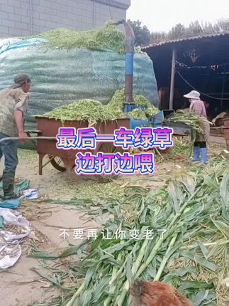 #养殖