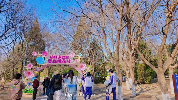 奥森桃花谷美到词穷,比十里堡更壮观,附快速进园路线 替你们去奥森北园踩点了!周四实拍,桃花已经开了大半,满坡粉白,站在高处往下看,真的像掉进了桃花源。
关键是——免费!地铁直达!还不用预约! 别再扎堆十里堡了,这里人少花多,周末赶紧冲。
📍 快速进园路线(亲测省时)
最佳入口:地铁8号线“林萃桥站”下车,从奥森北园西门进,进门右转,沿着主路走10分钟左右,就看到桃花谷了。
自驾:导航“奥森北园西门”或“北园南门”,都有停车场。
位置:奥森北园南部区域·桃花谷(导航搜“桃花谷”即到)
🌸 花情实况
3月19日实拍:已开70%以上,正值最佳观赏期
规模:整片坡地都是桃花,比十里堡桃花溪更密集、更壮观
下周预测:全面盛放,错过再等一年
🎉 桃红多巴胺(限时)
时间:3月14日-3月22日(最后两天!)
内容:特色小吃、文创手作、汉服体验、音乐演出
地点:桃花谷旁
💡 拍照小贴士
最佳时间:上午9点前或下午4点后,光线柔和不逆光
机位:站在坡上往下拍,人像置身花海;或找一棵低垂的花枝做前景
穿搭:浅色系(白/粉/米)最出片,汉服、JK制服适配度满分
导览图和详细路线放在评论区/最后一张图了,截图保存不迷路!
这个周末,去奥森赴一场粉色的约会吧🌸
#奥森桃花谷 #北京周末去哪儿 #北京春日赏花攻略 #随时随地标记一下 #标记我的出片搭 @DOU+小助手 @DOU+上热门