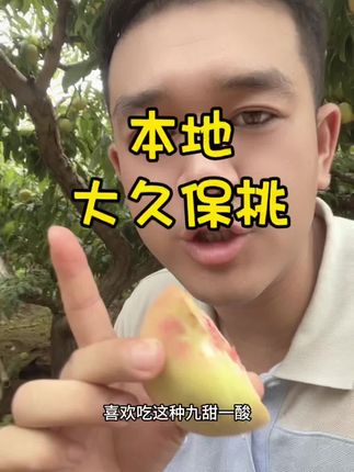 本地大久保桃下来了 #桃子熟了 #桃子超甜 姐姐们喜欢吃离核桃子的,下来了啊!硬吃九天一酸,嘎嘎脆甜,软吃、软糯香甜,还离核,喜欢吃的下方小黄车选购,刚刚开园的久保桃#新鲜采摘 #助力果农 #农产品