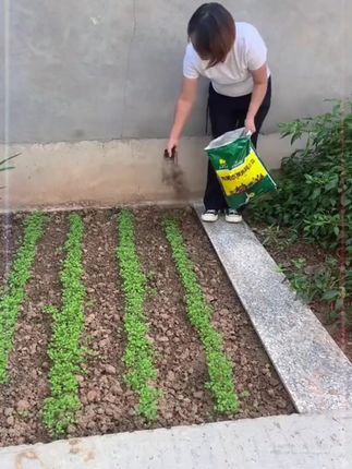 纯羊粪生物肥腐熟干羊粪发酵剂羊屎有机肥蔬菜花卉盆栽通用