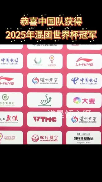 有意思的混团世界杯#混团世界杯 #孙颖莎 #上热门🔥