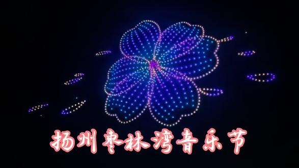 扬州枣林湾音乐节无人机秀#成龙 #莫文蔚