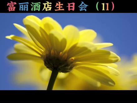 富丽酒店生日会(11)