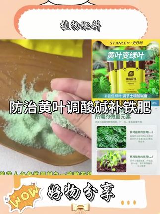 史丹利硫酸亚铁养花茶花栀子花植物长期防治黄叶调酸碱补铁肥#肥料#肥料厂家 #肥料知识 #花卉养护 #植物养护技巧