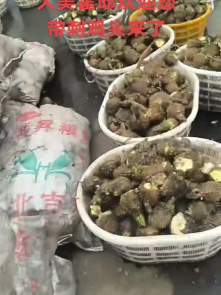 #霍邱 #我在霍邱很想你 #霍邱 #霍邱县