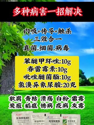 预防+治疗 一套4包 兑水30斤,上百种病害一套打净,除了豆角任何作物都可以使用#上热门 #农业种植 #农业知识 #抖音小助手带我上热门 #效果好