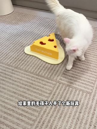 没有猫咪能拒绝的奶酪掏掏乐玩具#逗猫神器 #养猫新手 #猫玩具 #宠物用品 #猫管家宠物用品