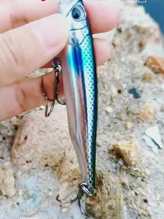 该来的总会来,该上钩的它就会稳稳的上! 乌贼钓具柳叶刃沉水铅笔路亚饵防锈加强钩超远投缓沉翘嘴鳡鱼假饵乌贼钓具柳叶刃沉水铅笔路亚饵防锈加强钩超远投缓沉翘嘴鳡鱼假饵