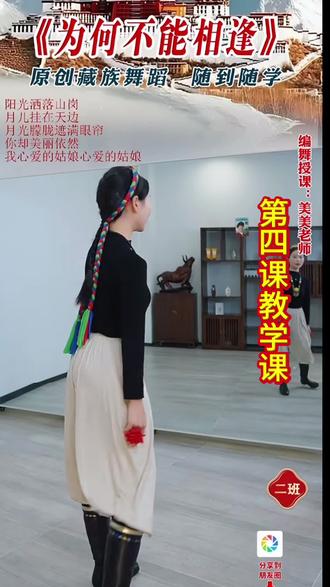 美美老师《为何不能相逢》第四课教学课