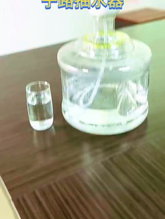 子路企鹅款电动抽水器,双孔双泵出水超快! #桶装水神器 #电动桶装水神器 #双孔双泵 #双孔双泵设计 #出水快速