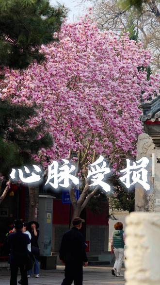 道医里有一种真实存在的病 名为“心脉受损”。 #传统文化 #国学文化 #国学智慧 #历史 #道教