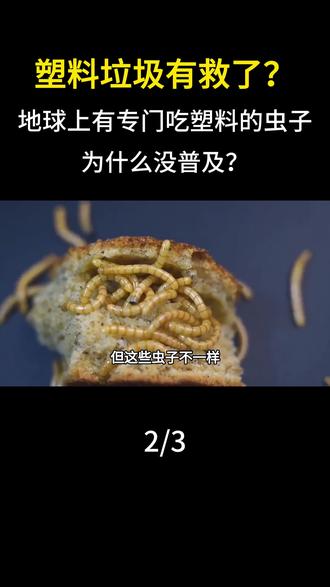 塑料垃圾有救了?地球上有专门吃塑料的虫子,为什么没普及?