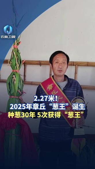 2.27米!2025年章丘“葱王”诞生#山东 #大葱