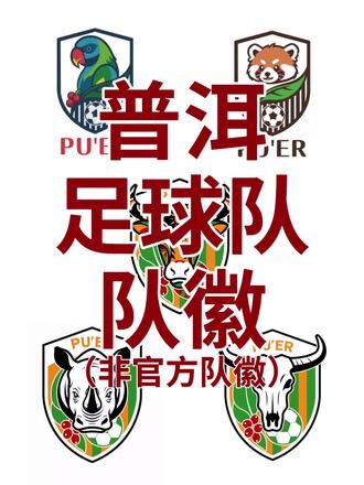 滇超•普洱足球队队徽(非官方队徽)