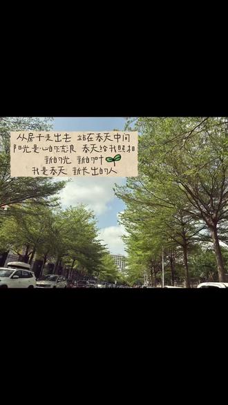 枝繁叶茂是春天的心跳