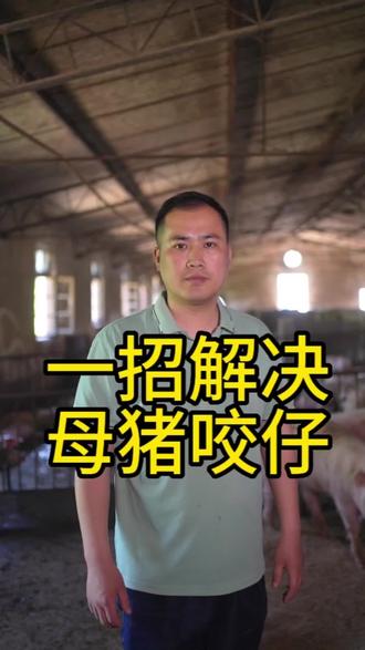 一招解决
母猪咬仔#自繁自养 #养猪人