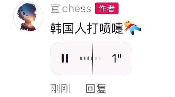 作者:@宣chess 评论人:@玖岁 #地道 #老北京