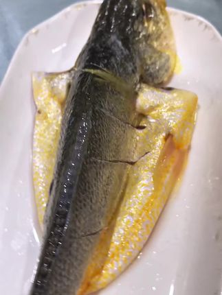 咱这个新鲜的黄花鱼,新鲜捕捞的不泡水无添加,新鲜海捕,冷冻锁鲜,美味天成,留住营养和鲜味哟,用来清蒸,红烧,炖煮都是美味可口,鲜嫩爽口,细腻的口感回味无穷,好鲜美的肉质,刺少,一家老小都可以放心吃的。喜欢安排#新鲜黄花鱼