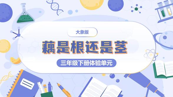 大象版科学三年级下册体验单元 藕是根还是茎PPT,获取方法看主页或置顶