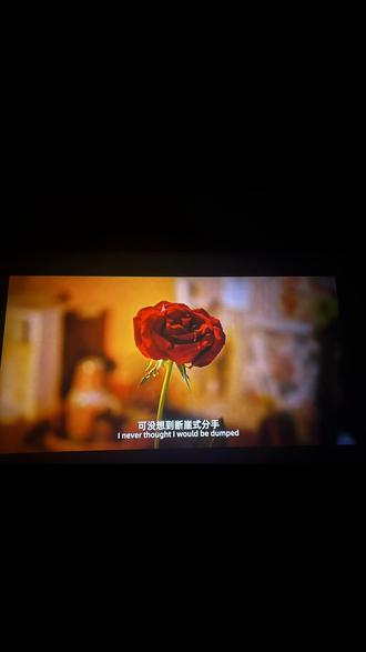 错过了遗憾吗,遗憾也错了,好好爱自己才是硬道理