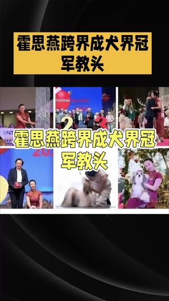 为中国犬种正名!霍思燕带狗征战国际赛场太飒了#霍思燕#西施犬 #正确的打开方式
