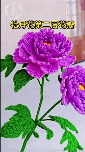 牡丹花钩织教程!#手工编织零基础教学 #毛线钩织