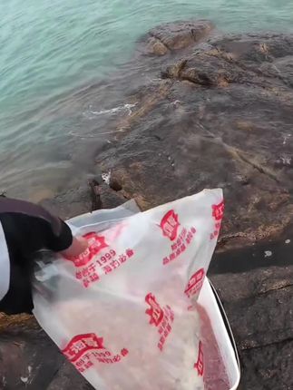 海钓别再花冤枉钱打窝了,快来用这款便宜又大称的红海哥海钓打窝料吧,大比重全层粉,留鱼持久#海钓 #打窝 #钓鱼 #窝料 #钓鱼的乐趣只有钓鱼人懂