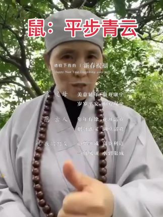 #生肖鼠 #属鼠 #鼠