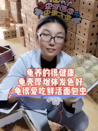 龟龟爱吃的龟粮#巴西龟 #草龟 #黄缘龟 #面包虫 #黄粉虫