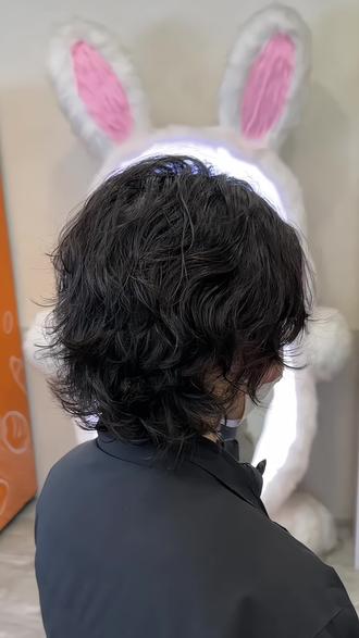 谁烫谁帅的高街风狼尾鲻鱼头!
#狼尾鲻鱼头 #鲻鱼头 #二次元 #百合 #鲻鱼头烫发