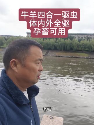 四合一牛羊驱虫体内外全驱孕畜可用