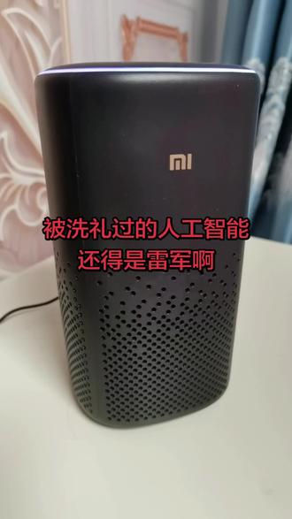 这音响也太雷军了#上热搜 #搞笑#小米#雷军