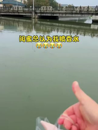 #好东西一起分享给大家 #真的很好用#便宜又划算