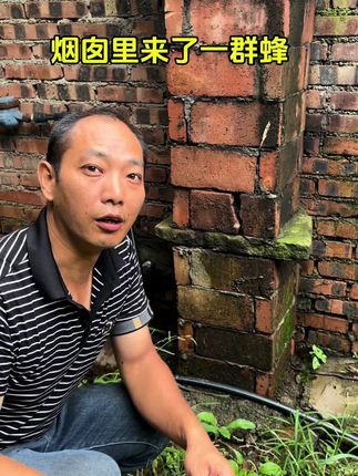 何小勇的农村生活