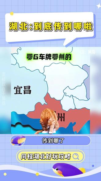 湖北:我就站在这 我看谁敢笑 #湖北 #车牌歌 #万万没想到 #抽象 #离谱