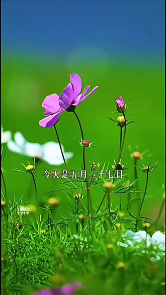今天是5月27日,星期三,早安!人海茫茫,皆是缘分,把吉祥,赠予有缘相逢的人;把尊重,留给知心相伴的人;把健康,送给懂得珍惜的人;把好运,托付心中惦念的人。愿有缘人常安,知心人常乐,加油!#早安 #早安朋友们开心快乐每一天 #早安心语 #正能量 #治愈系 @DOU+上热门
