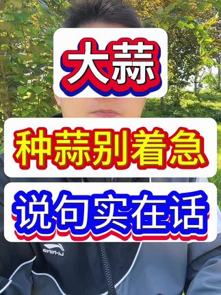 种蒜别着急#大蒜 #大蒜种植 #大蒜种植技术 #大蒜高产 #三农流量扶持计划