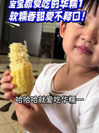 华糯1 软糯香甜 大棒不秃尖 自己家种大面积走市场都没问题#好吃到停不下来 #玉米 #种子 #农村生活 #蔬菜种子